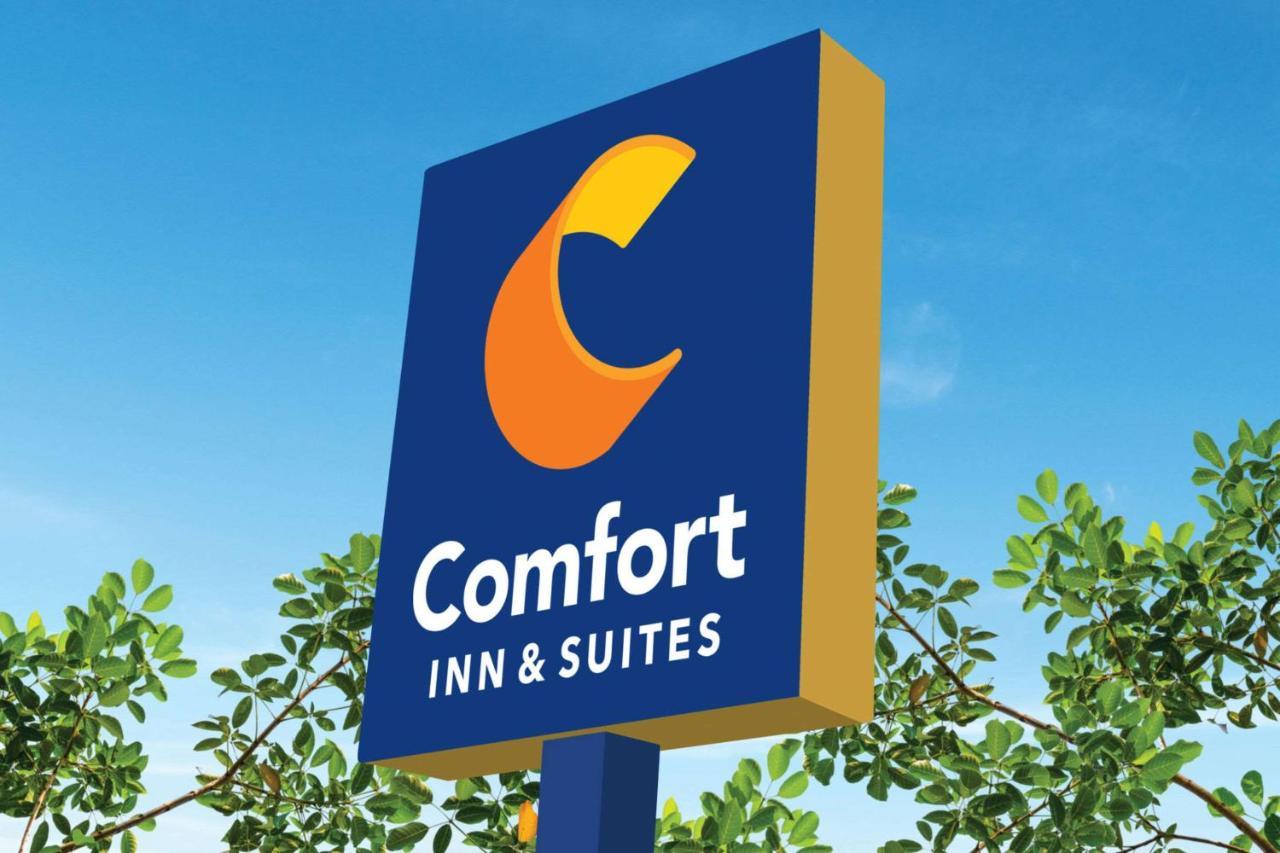 Comfort Inn & Suites Munising-Lakefront Exteriér fotografie